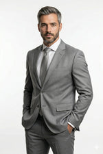 Terno Masculino Poliviscose Semi Slim Cinza Platina