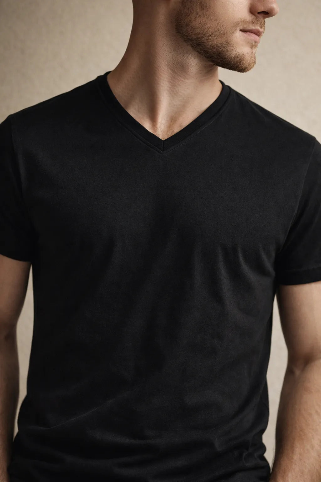 Camiseta Masculina Gola V em Algodão Egípcio Clássica