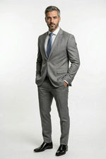Terno Masculino Poliviscose Semi Slim Cinza Platina